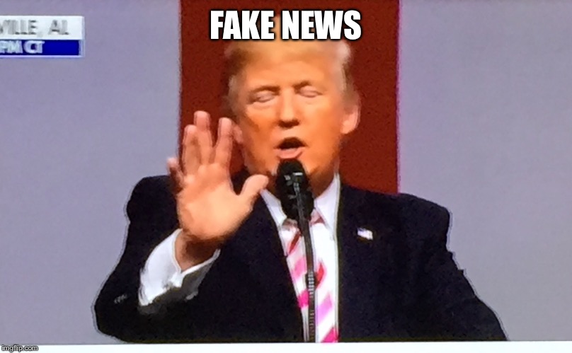 Trump no BS | FAKE NEWS | image tagged in trump no bs | made w/ Imgflip meme maker