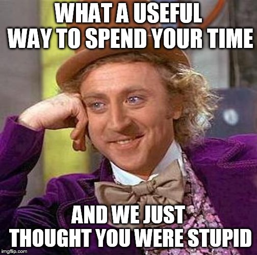 Creepy Condescending Wonka Meme | WHAT A USEFUL WAY TO SPEND YOUR TIME AND WE JUST THOUGHT YOU WERE STUPID | image tagged in memes,creepy condescending wonka | made w/ Imgflip meme maker