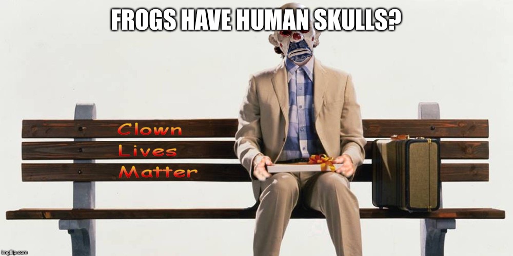 Clown Lives Matter | FROGS HAVE HUMAN SKULLS? | image tagged in clown lives matter | made w/ Imgflip meme maker