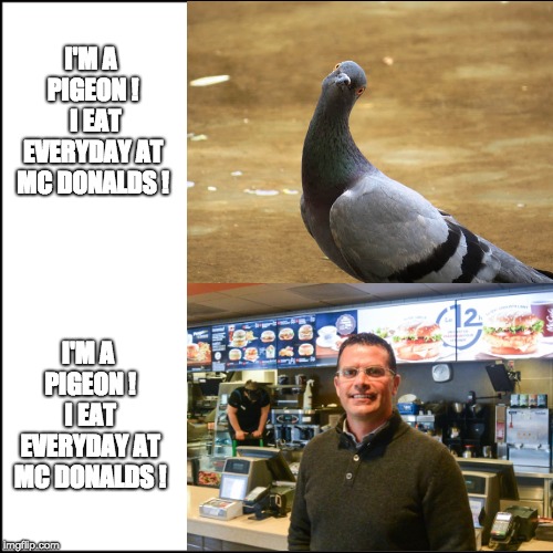 Mc donalds | I'M A PIGEON ! 
I EAT EVERYDAY AT MC DONALDS ! I'M A PIGEON ! I EAT EVERYDAY AT MC DONALDS ! | image tagged in mcdonalds,pigeon,consumerism | made w/ Imgflip meme maker