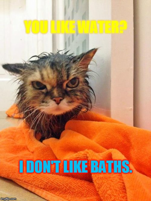 YOU LIKE WATER? I DON'T LIKE BATHS. | made w/ Imgflip meme maker