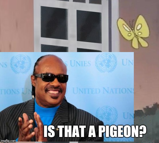 IS THAT A PIGEON? | made w/ Imgflip meme maker