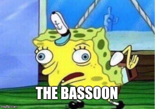Mocking Spongebob Meme | THE BASSOON | image tagged in memes,mocking spongebob | made w/ Imgflip meme maker