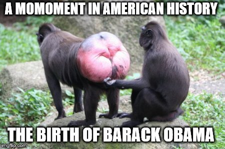 Obama | A MOMOMENT IN AMERICAN HISTORY; THE BIRTH OF BARACK OBAMA | image tagged in barack obama proud face | made w/ Imgflip meme maker