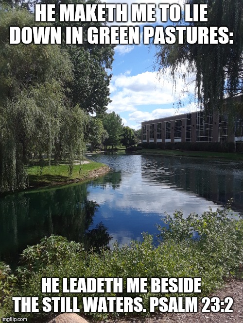 HE MAKETH ME TO LIE DOWN IN GREEN PASTURES:; HE LEADETH ME BESIDE THE STILL WATERS. PSALM 23:2 | image tagged in scripture,peace | made w/ Imgflip meme maker
