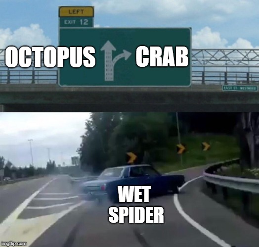 WET SPIDER CRAB OCTOPUS | image tagged in memes,left exit 12 off ramp | made w/ Imgflip meme maker