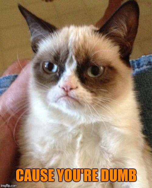 Grumpy Cat Meme | CAUSE YOU'RE DUMB | image tagged in memes,grumpy cat | made w/ Imgflip meme maker