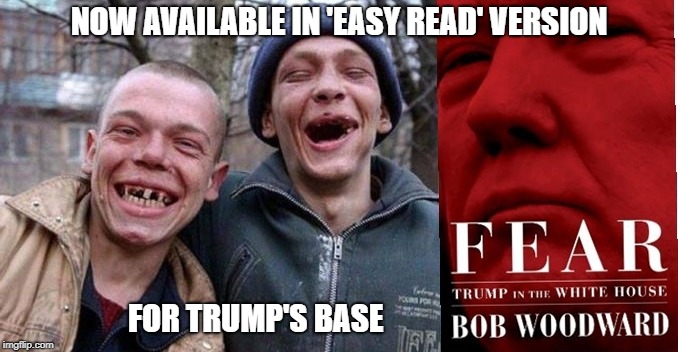 Fear - Available in 'Easy Read' Format | NOW AVAILABLE IN 'EASY READ' VERSION; FOR TRUMP'S BASE | image tagged in fear,donald trump,trump,president trump | made w/ Imgflip meme maker