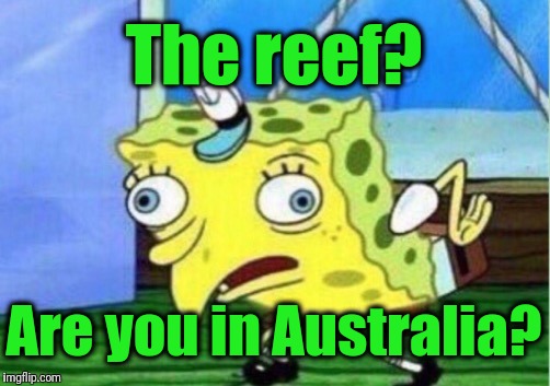 Mocking Spongebob Meme | The reef? Are you in Australia? | image tagged in memes,mocking spongebob | made w/ Imgflip meme maker