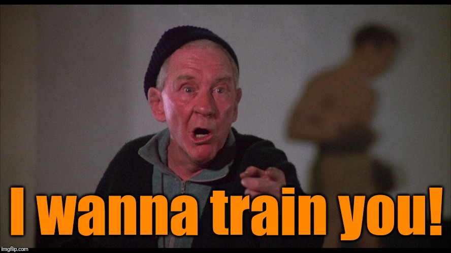 Rocky Mickey | I wanna train you! | image tagged in rocky mickey | made w/ Imgflip meme maker