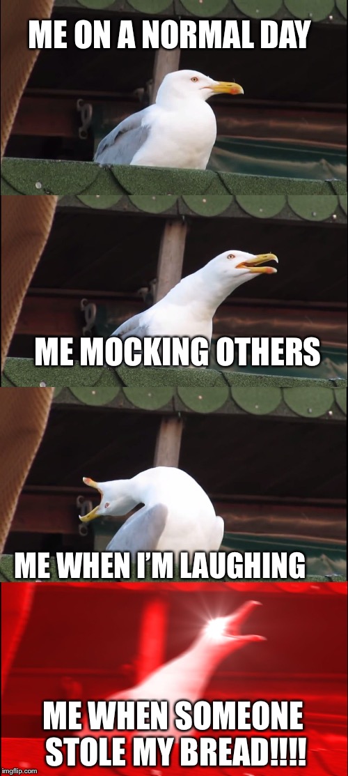 Inhaling Seagull Meme | ME ON A NORMAL DAY; ME MOCKING OTHERS; ME WHEN I’M LAUGHING; ME WHEN SOMEONE STOLE MY BREAD!!!! | image tagged in memes,inhaling seagull | made w/ Imgflip meme maker