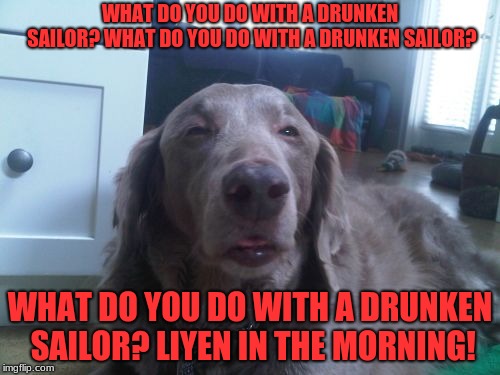 High Dog | WHAT DO YOU DO WITH A DRUNKEN SAILOR? WHAT DO YOU DO WITH A DRUNKEN SAILOR? WHAT DO YOU DO WITH A DRUNKEN SAILOR? LIYEN IN THE MORNING! | image tagged in memes,high dog | made w/ Imgflip meme maker