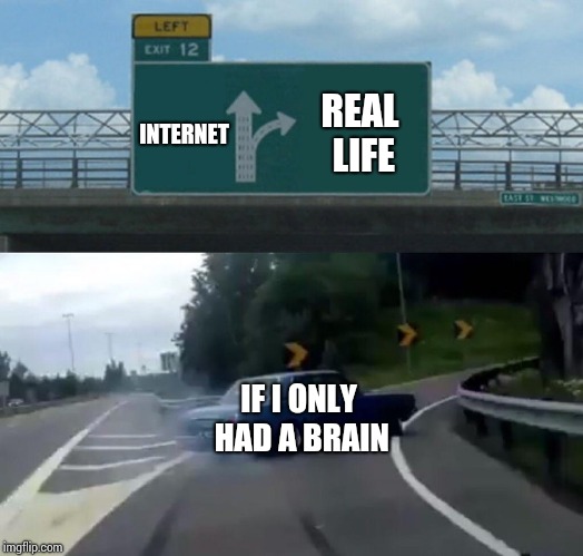 Is Life Better or Worse Because the Internet Exists. | INTERNET; REAL LIFE; IF I ONLY HAD A BRAIN | image tagged in memes,left exit 12 off ramp,meme,information,tired of your shit,just dance | made w/ Imgflip meme maker