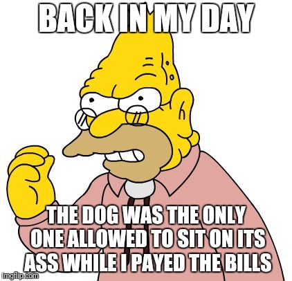 BACK IN MY DAY THE DOG WAS THE ONLY ONE ALLOWED TO SIT ON ITS ASS WHILE I PAYED THE BILLS | made w/ Imgflip meme maker