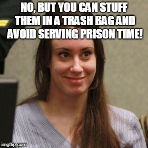 Casey Anthony | NO, BUT YOU CAN STUFF THEM IN A TRASH BAG AND AVOID SERVING PRISON TIME! | image tagged in casey anthony | made w/ Imgflip meme maker