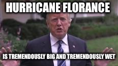 HURRICANE FLORANCE; IS TREMENDOUSLY BIG AND TREMENDOUSLY WET | image tagged in donald trump | made w/ Imgflip meme maker