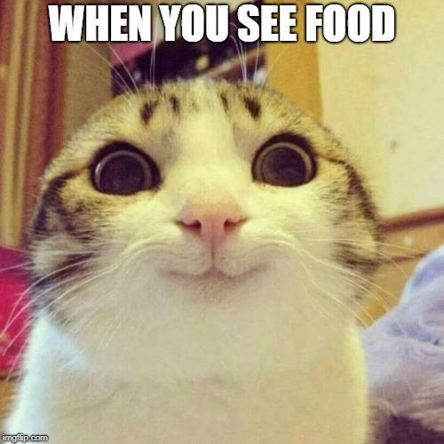 Smiling Cat Meme | WHEN YOU SEE FOOD | image tagged in memes,smiling cat | made w/ Imgflip meme maker