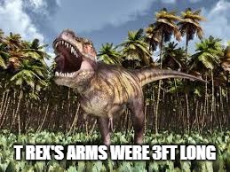 The Truth of T rex's Arms | T REX'S ARMS WERE 3FT LONG | image tagged in t rex | made w/ Imgflip meme maker