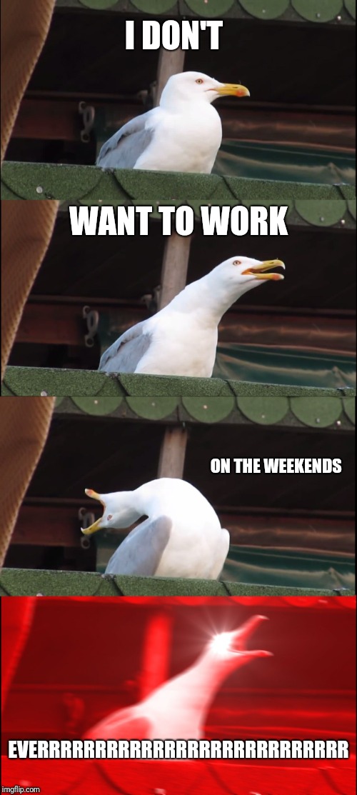 Inhaling Seagull | I DON'T; WANT TO WORK; ON THE WEEKENDS; EVERRRRRRRRRRRRRRRRRRRRRRRRRRR | image tagged in memes,inhaling seagull | made w/ Imgflip meme maker
