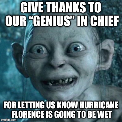 Gollum Meme | GIVE THANKS TO OUR “GENIUS” IN CHIEF; FOR LETTING US KNOW HURRICANE FLORENCE IS GOING TO BE WET | image tagged in memes,gollum | made w/ Imgflip meme maker