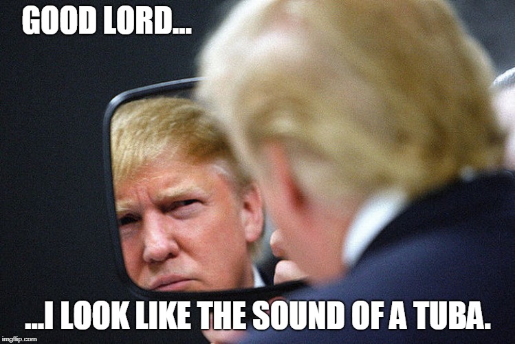 GOOD LORD... ...I LOOK LIKE THE SOUND OF A TUBA. | image tagged in asshole,donald trump,trump goofy face | made w/ Imgflip meme maker