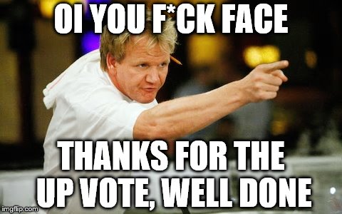 OI YOU F*CK FACE THANKS FOR THE UP VOTE, WELL DONE | made w/ Imgflip meme maker