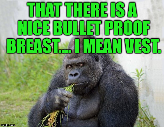 THAT THERE IS A NICE BULLET PROOF BREAST.... I MEAN VEST. | image tagged in sexy monkey memes gorilla | made w/ Imgflip meme maker