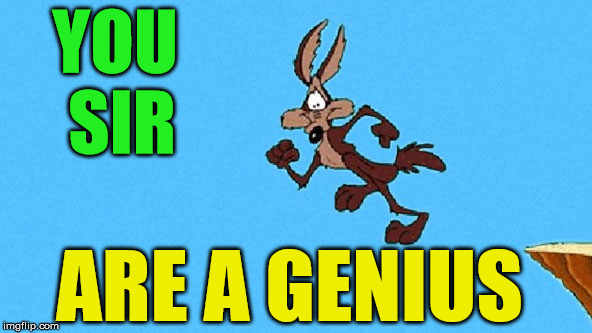 wiley coyote | YOU SIR ARE A GENIUS | image tagged in wiley coyote | made w/ Imgflip meme maker
