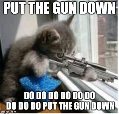 cats with guns | PUT THE GUN DOWN; DO DO DO DO DO DO DO DO DO PUT THE GUN DOWN | image tagged in cats with guns | made w/ Imgflip meme maker