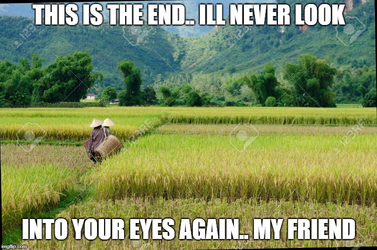 THIS IS THE END.. ILL NEVER LOOK; INTO YOUR EYES AGAIN.. MY FRIEND | image tagged in the doors | made w/ Imgflip meme maker