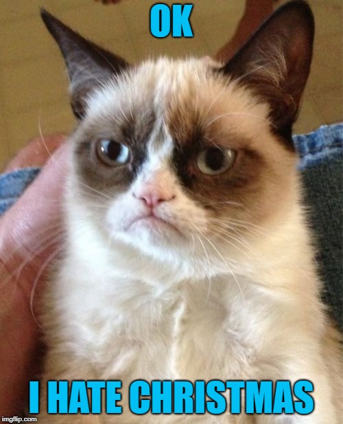 Grumpy Cat Meme | OK I HATE CHRISTMAS | image tagged in memes,grumpy cat | made w/ Imgflip meme maker