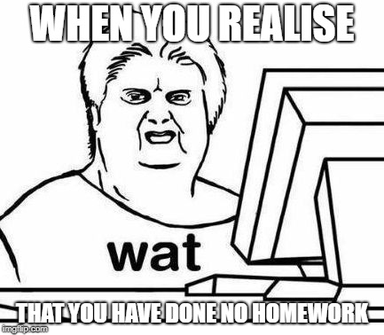 The Wat Guy | WHEN YOU REALISE; THAT YOU HAVE DONE NO HOMEWORK | image tagged in the wat guy | made w/ Imgflip meme maker