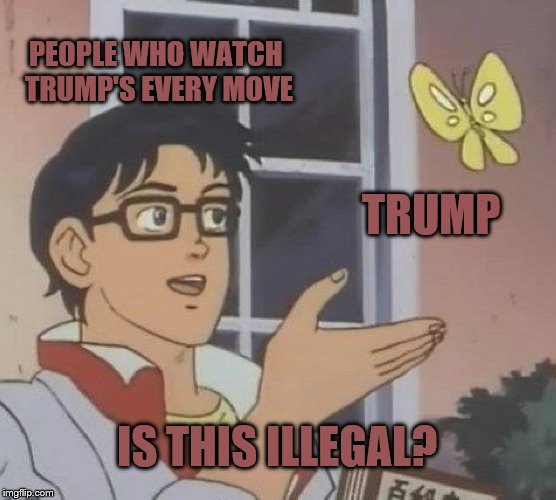 Is This A Pigeon | PEOPLE WHO WATCH TRUMP'S EVERY MOVE; TRUMP; IS THIS ILLEGAL? | image tagged in memes,is this a pigeon | made w/ Imgflip meme maker