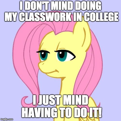 Ugh... | I DON'T MIND DOING MY CLASSWORK IN COLLEGE; I JUST MIND HAVING TO DO IT! | image tagged in tired of your crap,memes,homework,college,ponies,xanderbrony | made w/ Imgflip meme maker