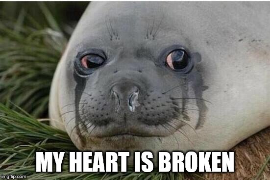 Crying Seal | MY HEART IS BROKEN | image tagged in crying seal | made w/ Imgflip meme maker