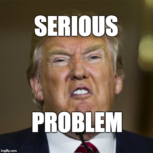 Serious problem | SERIOUS; PROBLEM | image tagged in trump,donald trump,republicans,crisis,fraud | made w/ Imgflip meme maker