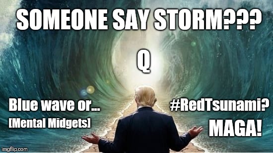 #HurricaneFlorence Someone Say Storm??? blue wave [mental midgets] or #MAGA #RedTsunami? #QAnon #TheStorm  | SOMEONE SAY STORM??? Q; Blue wave or...                         #RedTsunami? [Mental Midgets]; MAGA! | image tagged in trump parts the waters,historical,prosperity,winning,qanon,heroes of the storm | made w/ Imgflip meme maker