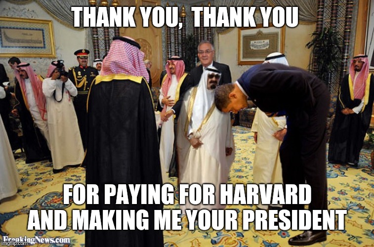 WWG1WGA | THANK YOU,  THANK YOU; FOR PAYING FOR HARVARD AND MAKING ME YOUR PRESIDENT | image tagged in higher education | made w/ Imgflip meme maker