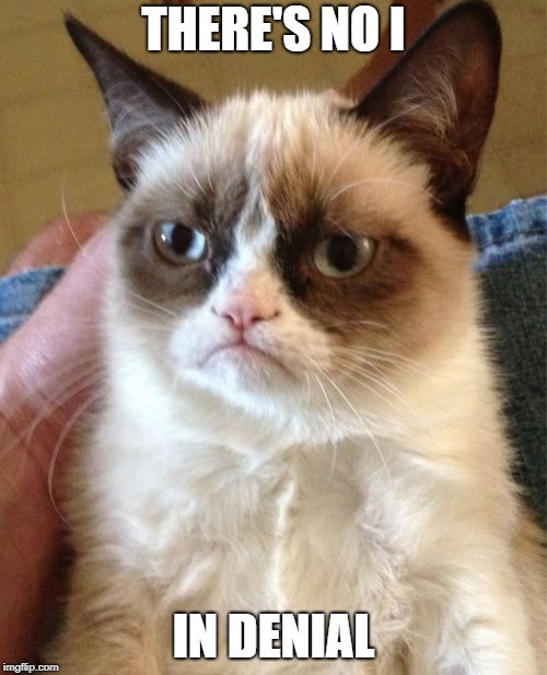 In denial | THERE'S NO I; IN DENIAL | image tagged in memes,grumpy cat,i,denial | made w/ Imgflip meme maker