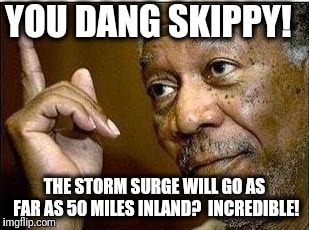 morgan freeman | YOU DANG SKIPPY! THE STORM SURGE WILL GO AS FAR AS 50 MILES INLAND?  INCREDIBLE! | image tagged in morgan freeman | made w/ Imgflip meme maker
