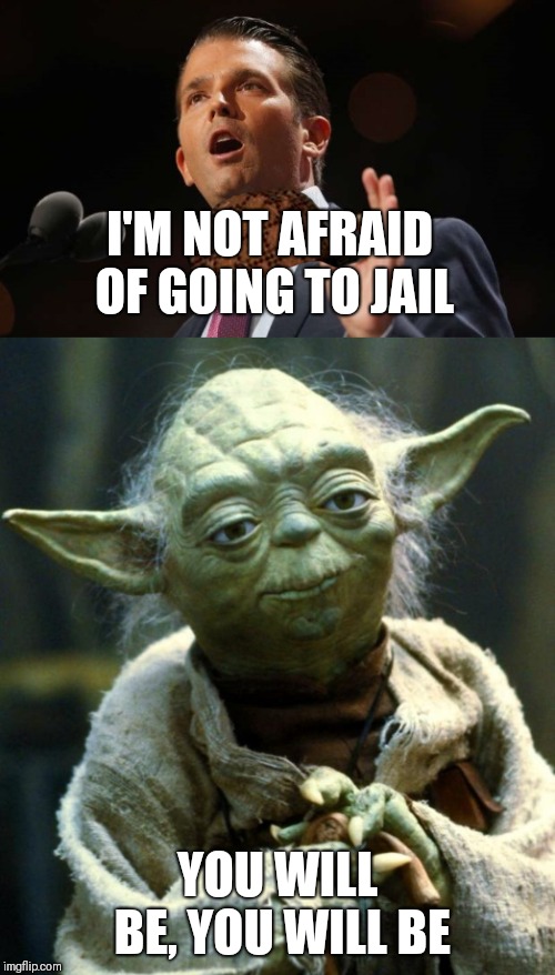 I'M NOT AFRAID OF GOING TO JAIL; YOU WILL BE, YOU WILL BE | image tagged in donald trump jr | made w/ Imgflip meme maker