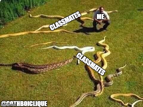 snakes | ME; CLASSMATES; CLASSMATES; @GOTHBOICLIQUE | image tagged in snakes | made w/ Imgflip meme maker