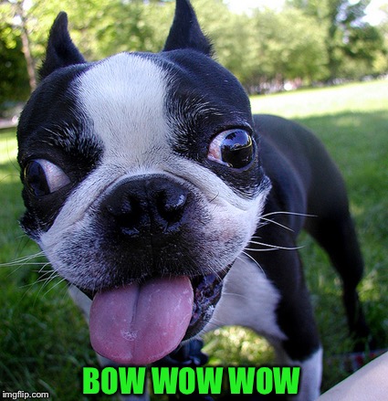 BOW WOW WOW | made w/ Imgflip meme maker