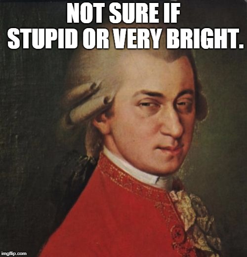 Mozart Not Sure Meme | NOT SURE IF STUPID OR VERY BRIGHT. | image tagged in memes,mozart not sure | made w/ Imgflip meme maker