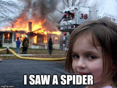 Disaster Girl Meme | I SAW A SPIDER | image tagged in memes,disaster girl | made w/ Imgflip meme maker