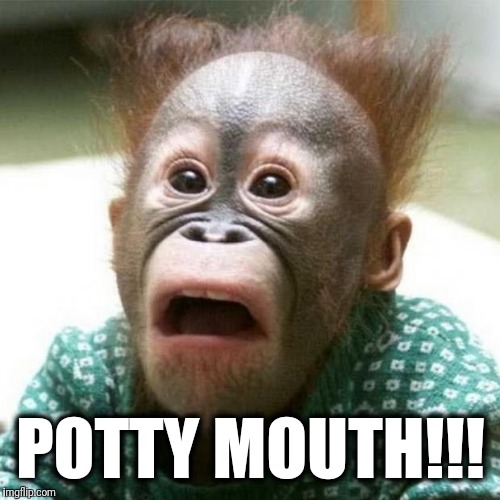 Shocked Monkey | POTTY MOUTH!!! | image tagged in shocked monkey | made w/ Imgflip meme maker