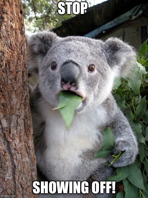 Surprised Koala Meme | STOP SHOWING OFF! | image tagged in memes,surprised koala | made w/ Imgflip meme maker