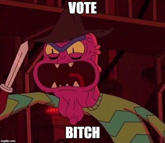 Scary Terry | VOTE; BITCH | image tagged in scary terry | made w/ Imgflip meme maker