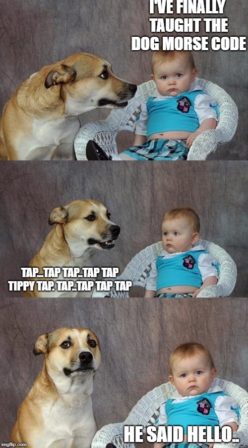 Dog and Baby | I'VE FINALLY TAUGHT THE DOG MORSE CODE; TAP...TAP TAP..TAP TAP TIPPY TAP. TAP..TAP TAP TAP; HE SAID HELLO.. | image tagged in dog and baby | made w/ Imgflip meme maker