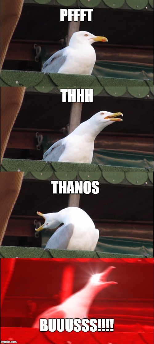 Inhaling Seagull Meme | PFFFT; THHH; THANOS; BUUUSSS!!!! | image tagged in memes,inhaling seagull | made w/ Imgflip meme maker
